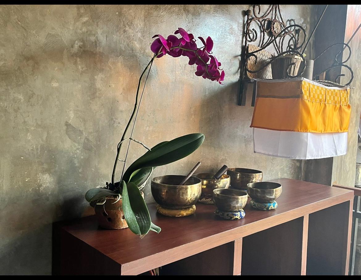 Bhadra Wellness and Healing - Wellnessbali