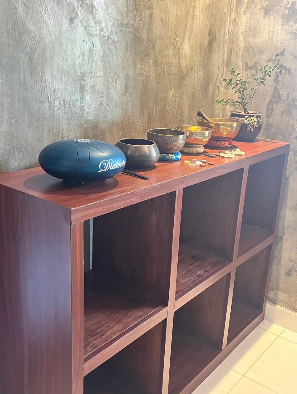 Bhadra Wellness and Healing